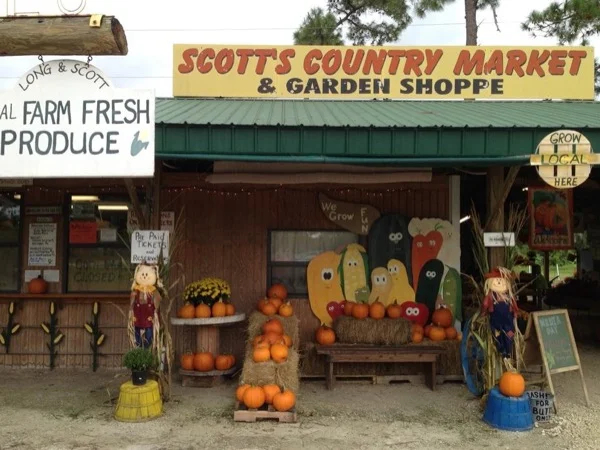 Central Florida Farms and Fields