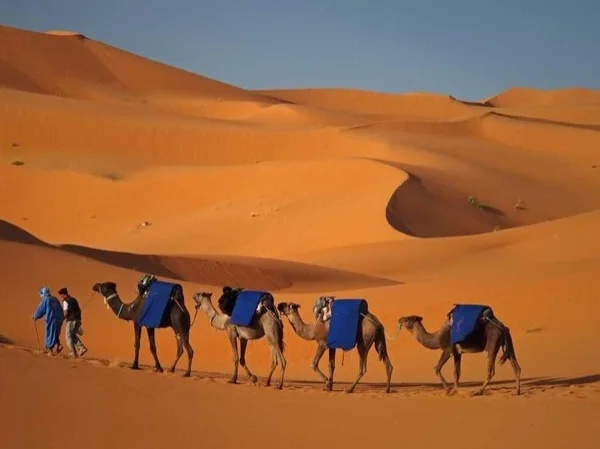 2 Days and One night under the bright stars of Merzouga desert