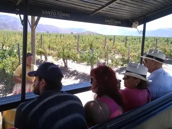 Ensenada Wine Private Tour