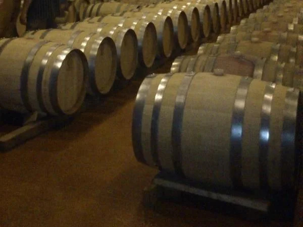Ensenada Wine Experience