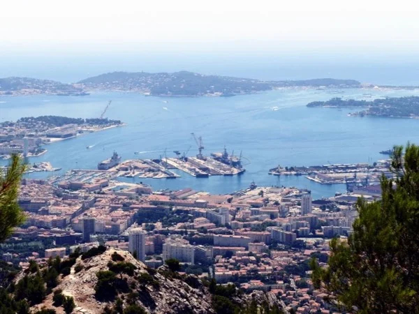 Cover media image