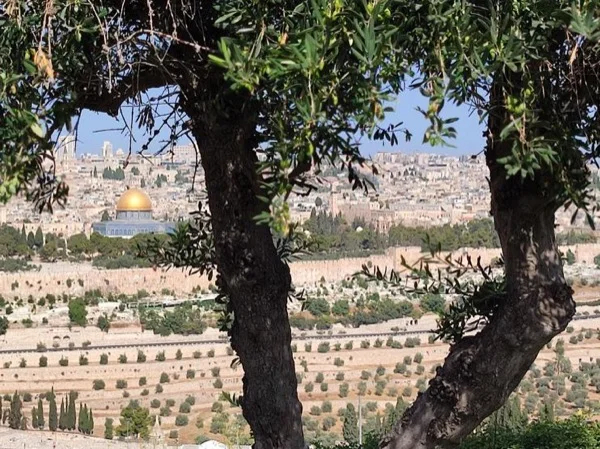 Mount of Olives and Way of the Cross