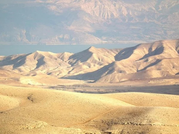 Bethlehem,Jericho and the dead sea Day tour
