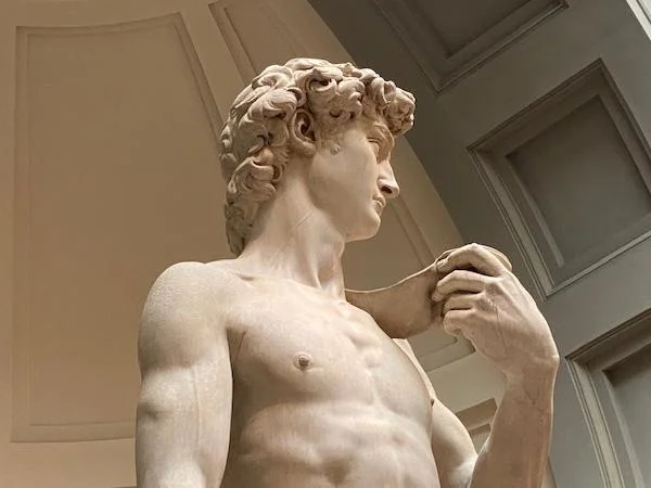 The Accademia Gallery with Michelangelo's Original David-No entry tickets included