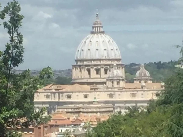 Papal Audience Entrance & Assistance - Wednesday's & Sunday's!!!