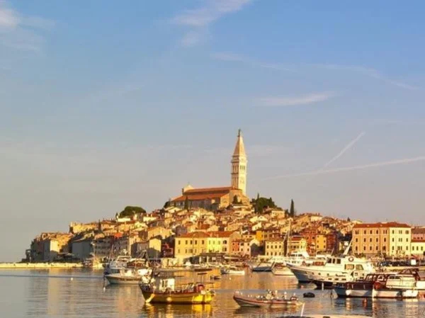 Cover media image