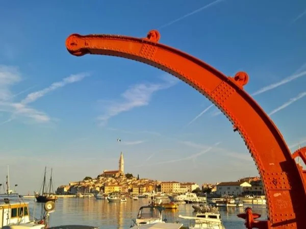 Cover media image