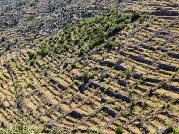 Hidden Rural Gems of Hvar - Shore Excursion