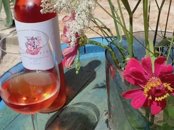 Privately Guided Wine Tasting Tour on Hvar