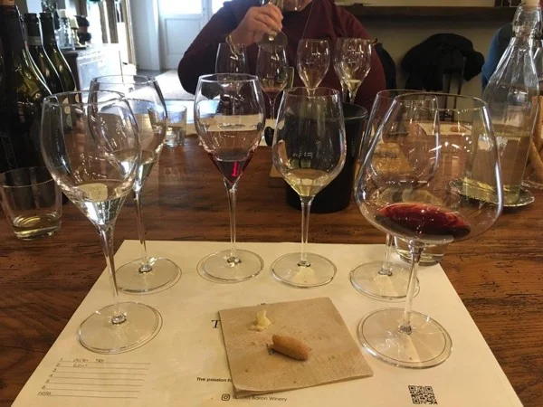 Prosecco Area and Wine Tasting: a Day Trip from Venice