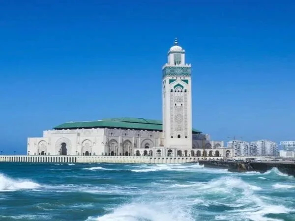 Cover media image