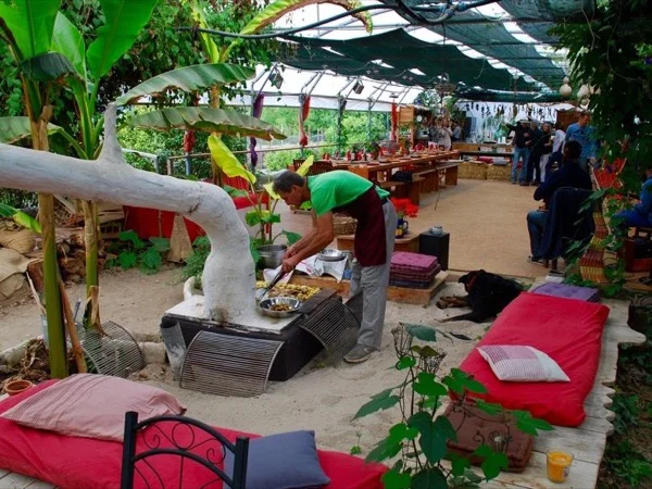 Immerse yourself in local life: meet the farmers and enjoy mountain scenery in this Full Day tour