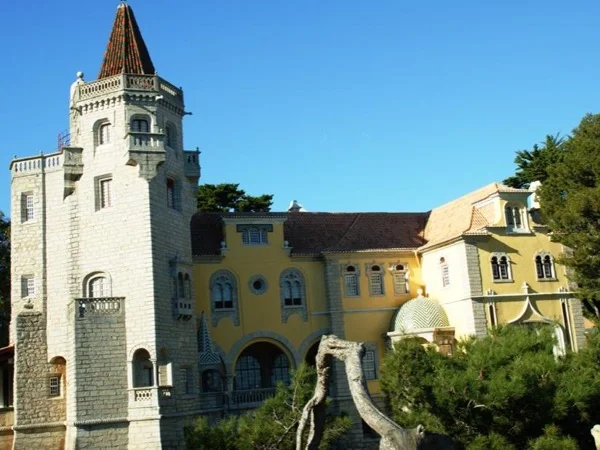 Cover media image