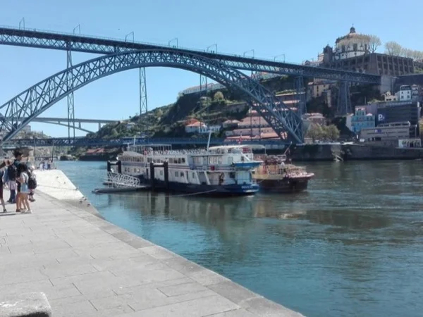 Enjoy Porto Full Day Tour From Lisbon