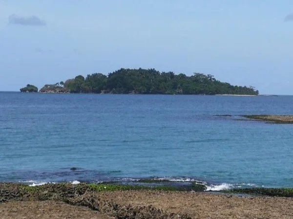 Cahuita National Park Expedition Tour