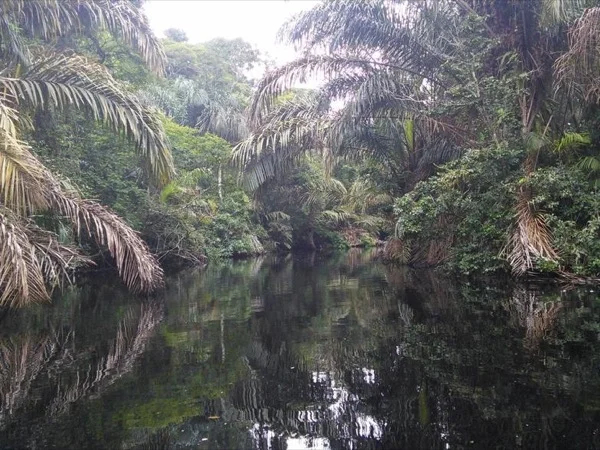 Tortuguero Canals