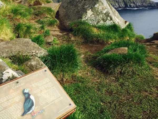 Runding from Ålesund