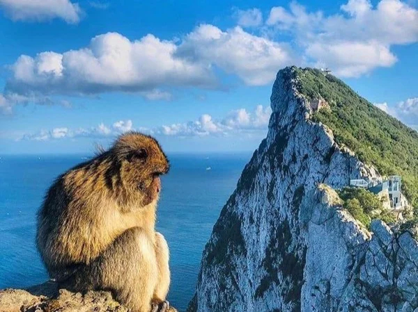 Classic Rock of Gibraltar Tour plus World War 2 Tunnels