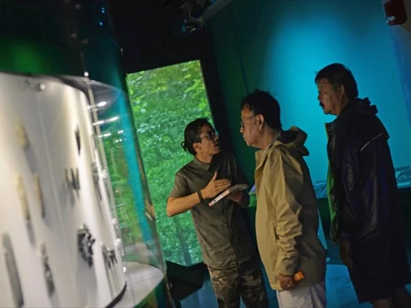 Cover media image
