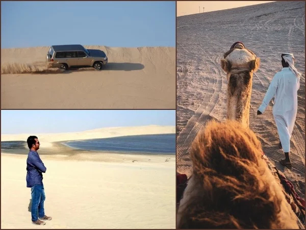 Qatar Desert Safari- Experience The Thrill in The Desert with short camel ride.