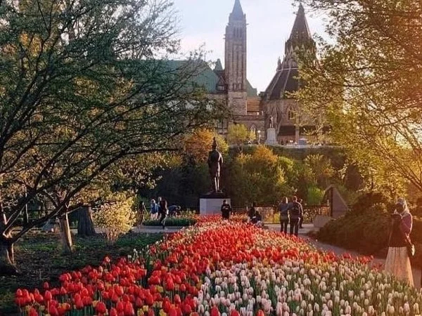 What's New in Ottawa