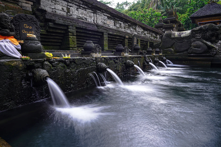 Cover media image