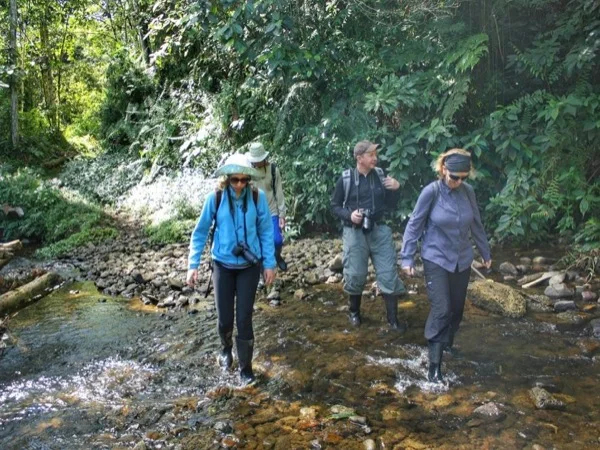 A first encounter with the Amazon forest. A 4 days tour