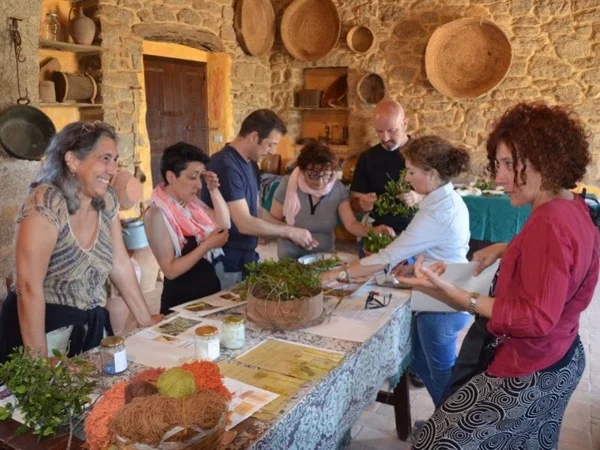 Tour with a Dinner at a Farm of North Sardinia