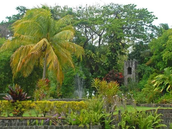 Cover media image