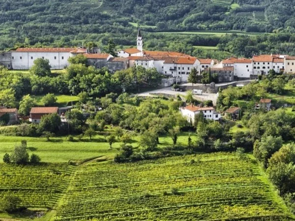 Private Shore Excursion half day tour to Vipavski Kriz in Vipava Valley from Koper