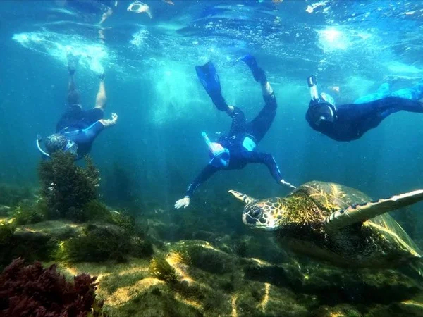The Very Best Galapagos