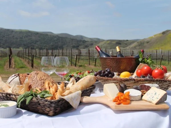 Solvang & Wine Tasting Tour of Santa Barbara Wine Country
