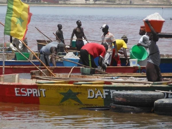 Half Day Tour from Dakar: the Pink Lake