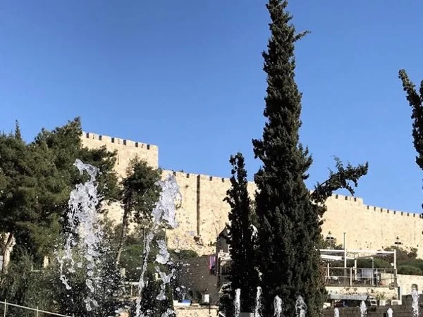 Along the Ramparts