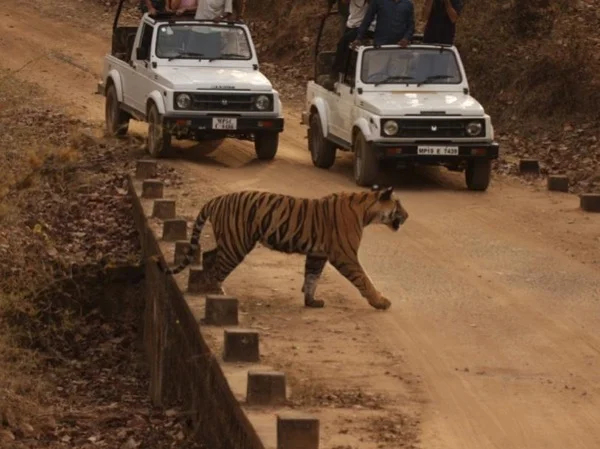India's Golden Triangle Tour With Ranthambore Tiger Safari ( 06 NIGHTS / 07 DAYS )