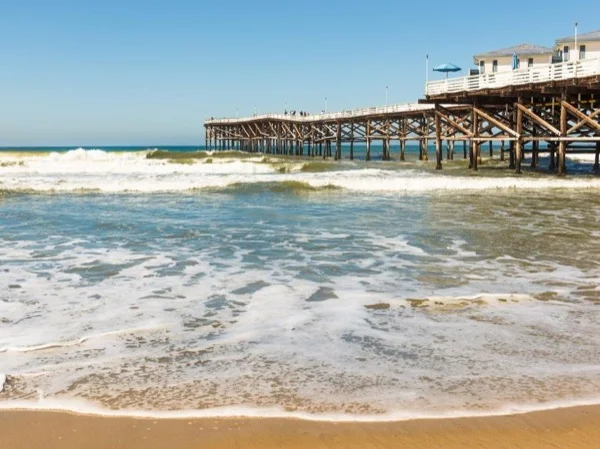Private Full-Day Tour of the San Diego Coast