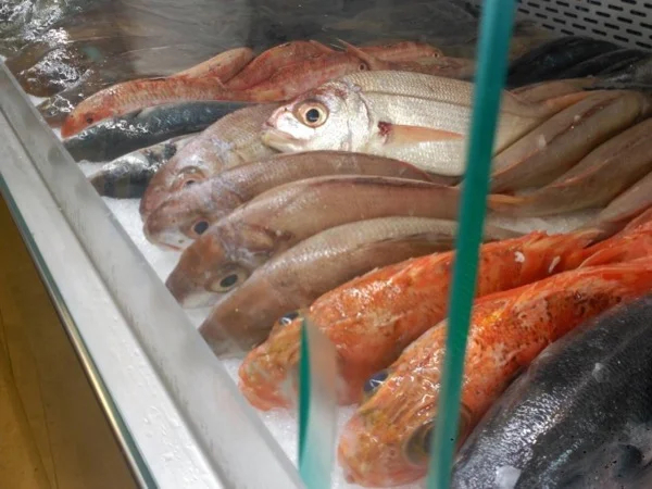 Seafood Festival Experience Half Day Tour