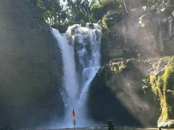 The Best of Ubud