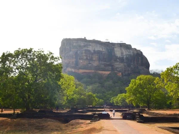 Take part in local life, observe wild elephants - Multi Day Tour in Sri Lanka