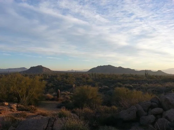 Phoenix Outdoor Tour: Sonoran Desert Half-Day Adventure