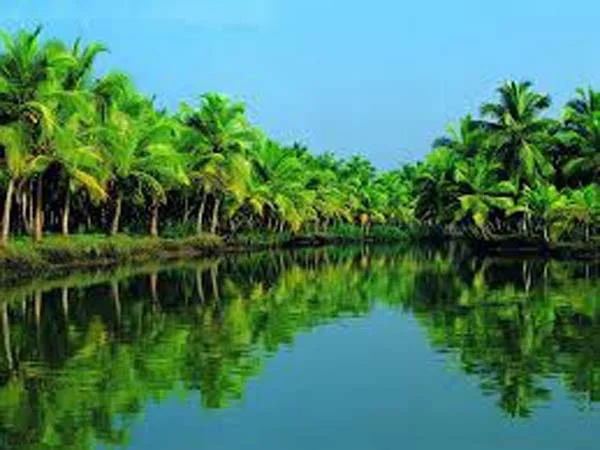 Highlights of Real Cochin Village Tour!