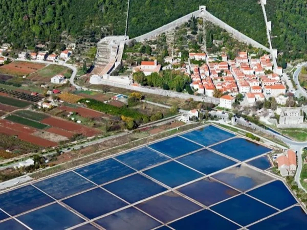 Dubrovnik Country and Ston Private Tour