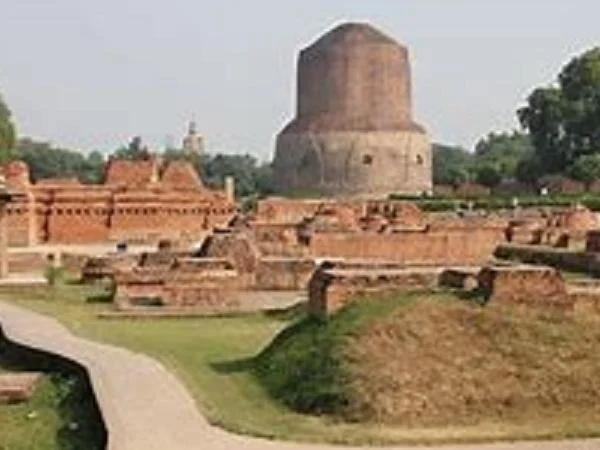 Cover media image