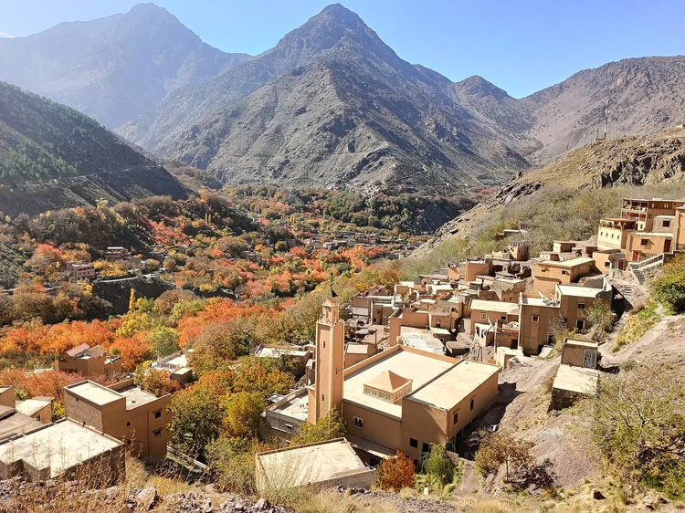 Cover media image