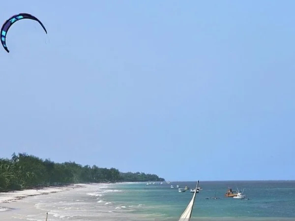 Cover media image