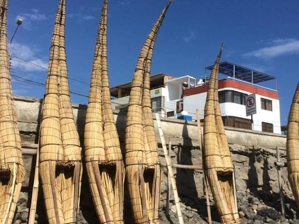 Trujillo & Moche Valley Full-day Tour" Exploring the Moche Valley"