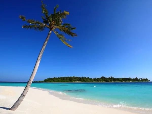 Private Tour from Palm Beach to Miami