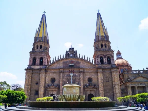 Cover media image