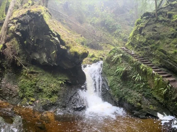 Puck's Glen & Dumbarton Castle
