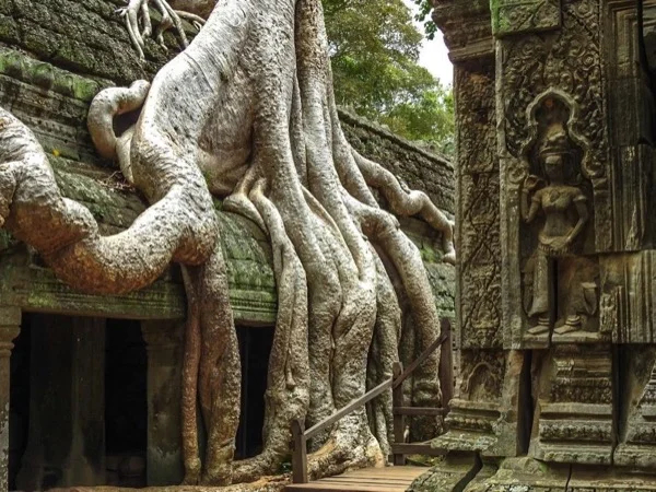 Private Tour Of Angkor Wat For Four Days